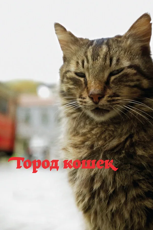 Город кошек — постер