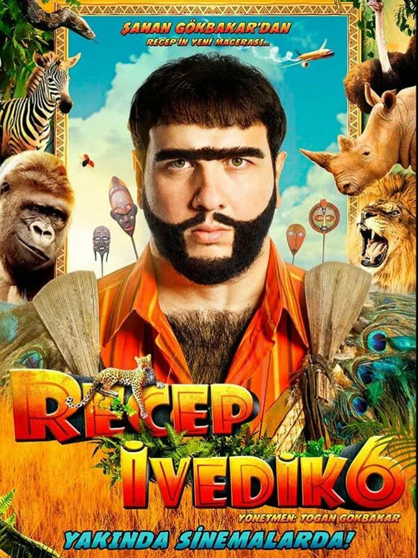 Реджеп Иведик 6 — постер