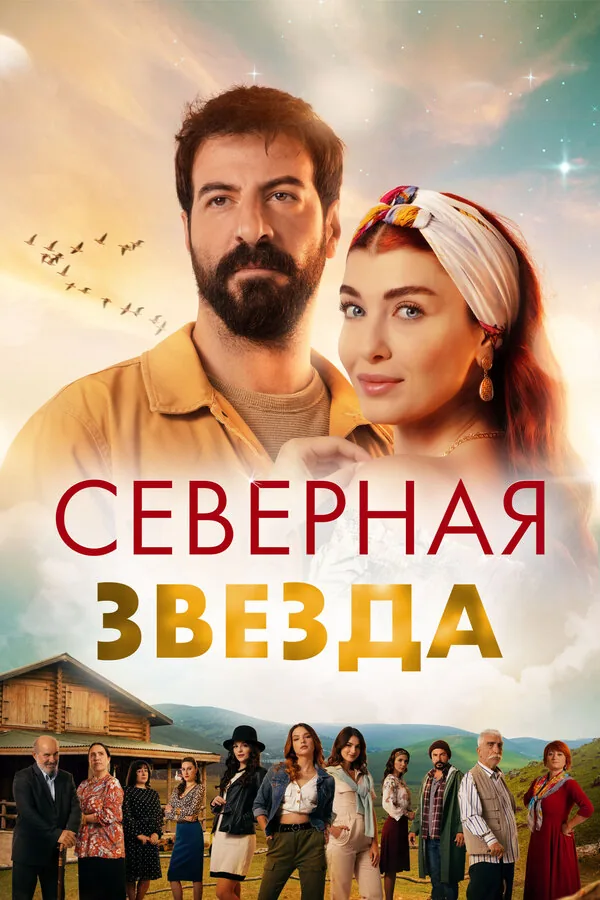 Полярная звезда — постер