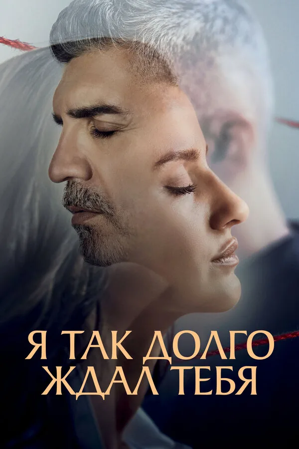 Я так долго тебя ждал — постер