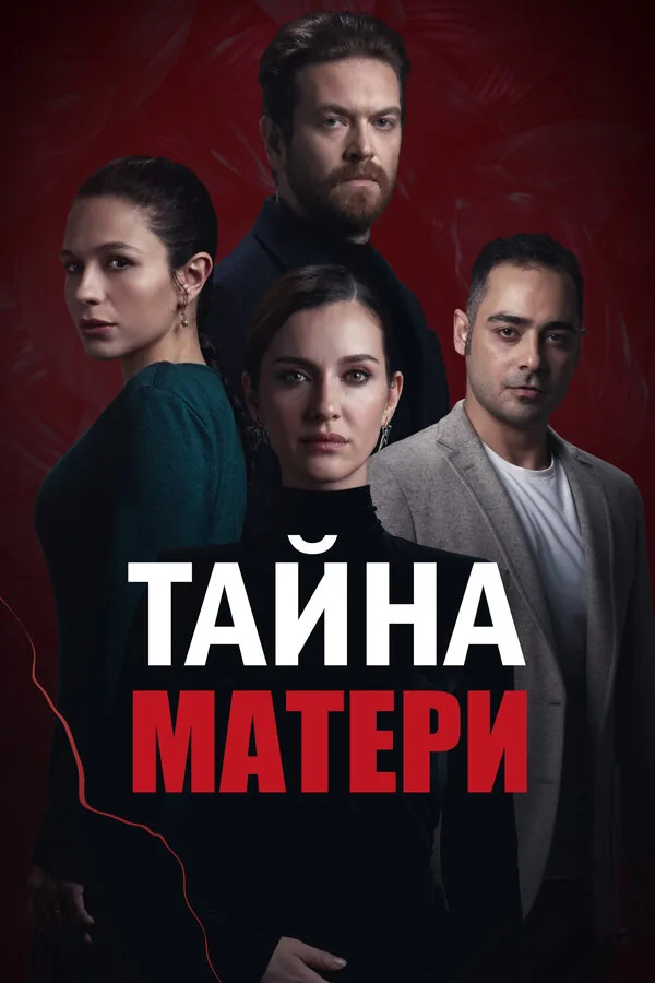 Тайна матери — постер