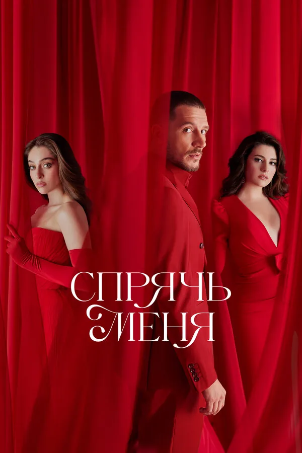 Спрячь меня — постер