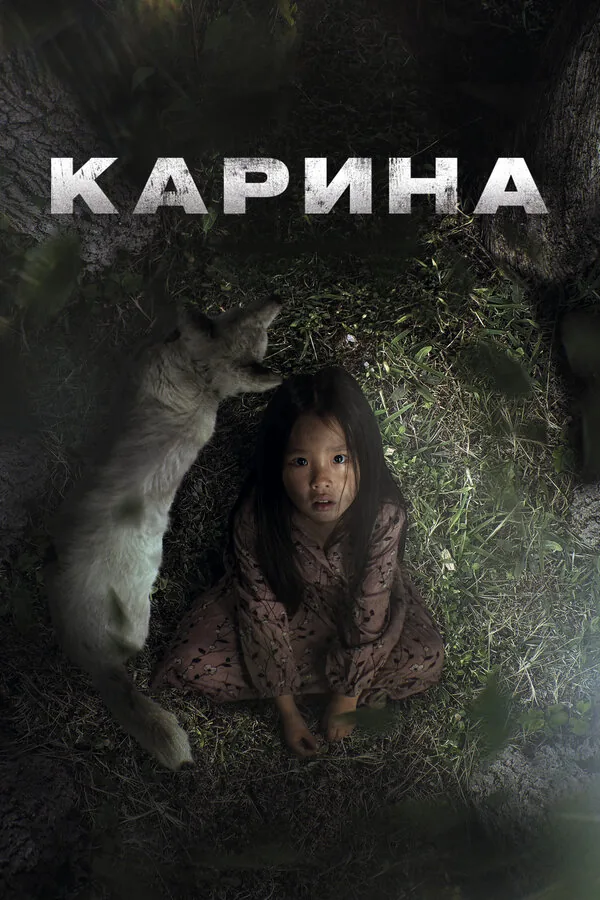 Карина — постер