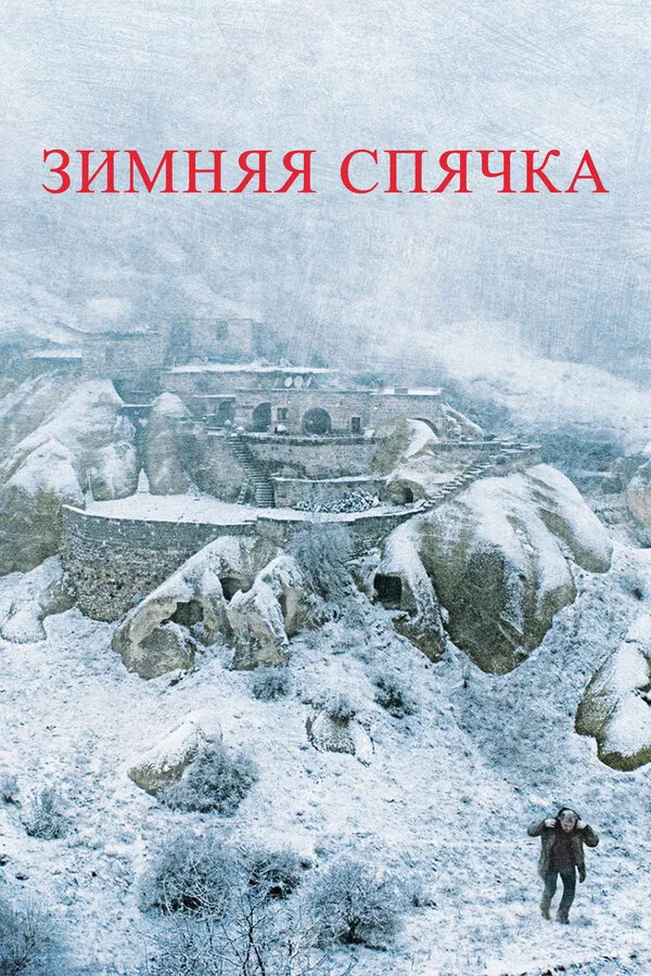 Зимняя спячка — постер